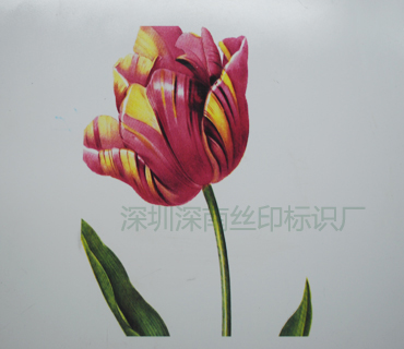 深圳市深南辉丝印有限公司-PVC-PC-PET面板13